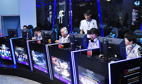 塔利亚菲科 塔利亚菲科