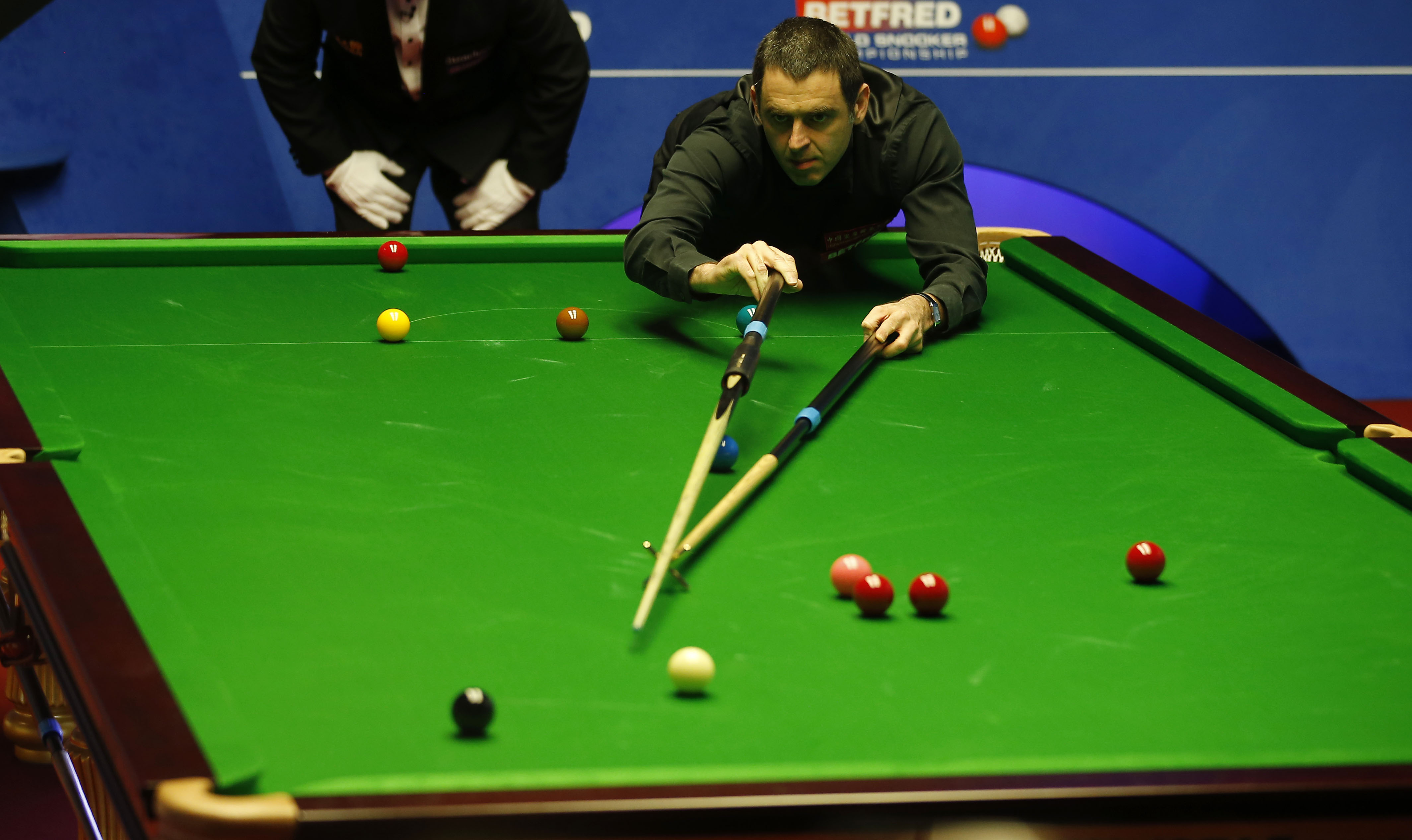 不可或缺的 不可或缺的